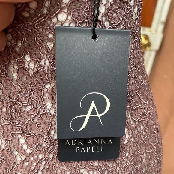 NWT Adrianna Papell lace dress (size 4M) - Picture 10 of 10
